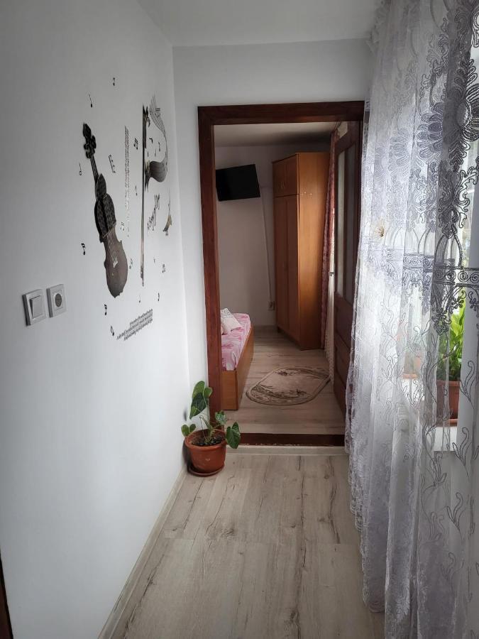 Pensiunea Lacramioara Ватра Дорней Екстериор снимка
